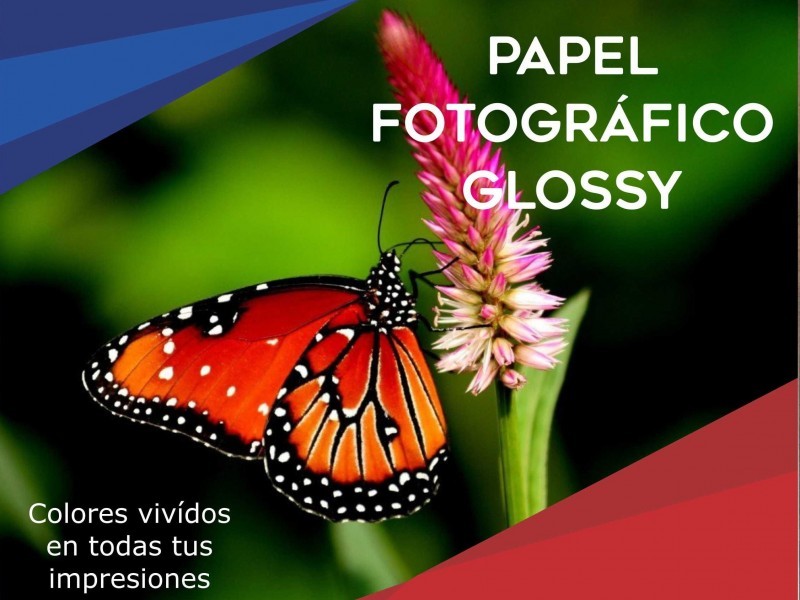 PAPEL FOTOGRAFICO GLOSSY A6  x150GRS. X 20 UNIDADES